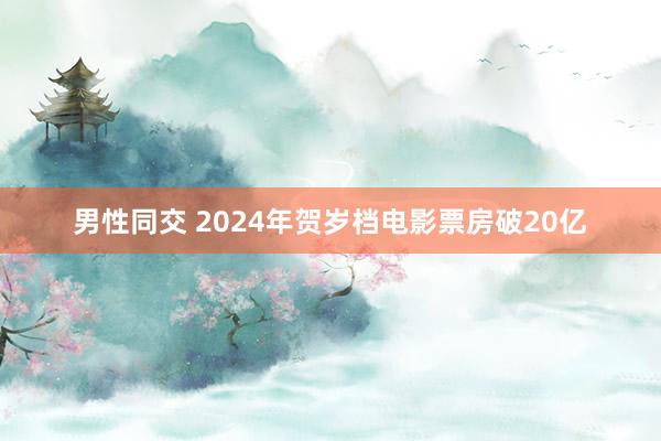 男性同交 2024年贺岁档电影票房破20亿