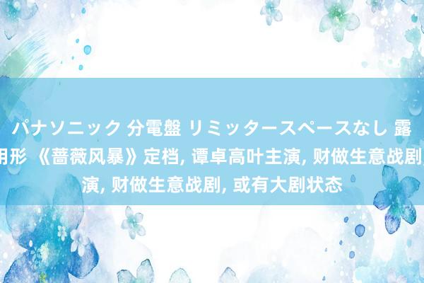 パナソニック 分電盤 リミッタースペースなし 露出・半埋込両用形 《蔷薇风暴》定档， 谭卓高叶主演， 财做生意战剧， 或有大剧状态