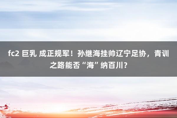 fc2 巨乳 成正规军！孙继海挂帅辽宁足协，青训之路能否“海”纳百川？