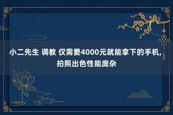 小二先生 调教 仅需要4000元就能拿下的手机， 拍照出色性能庞杂