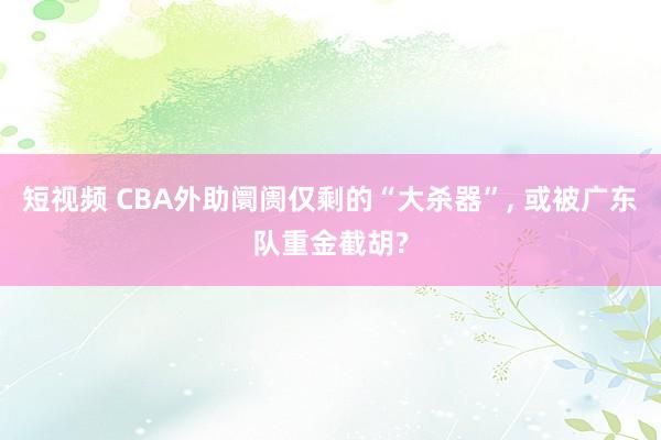 短视频 CBA外助阛阓仅剩的“大杀器”， 或被广东队重金截胡?