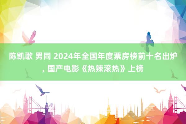 陈凯歌 男同 2024年全国年度票房榜前十名出炉， 国产电影《热辣滚热》上榜