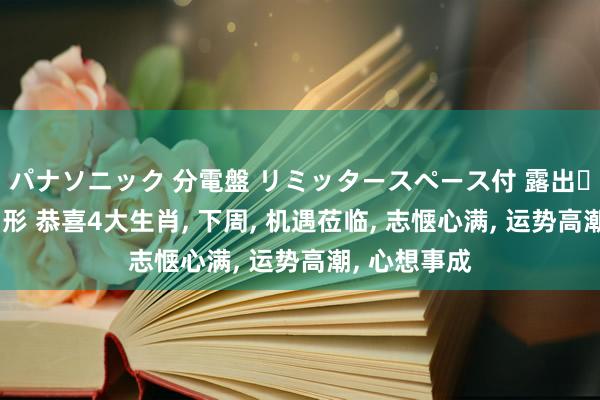 パナソニック 分電盤 リミッタースペース付 露出・半埋込両用形 恭喜4大生肖， 下周， 机遇莅临， 志惬心满， 运势高潮， 心想事成