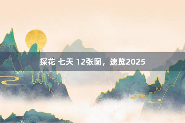 探花 七天 12张图，速览2025