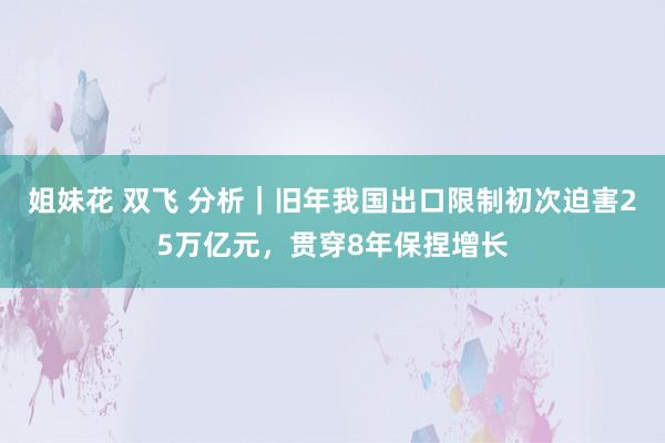 姐妹花 双飞 分析｜旧年我国出口限制初次迫害25万亿元，贯穿8年保捏增长