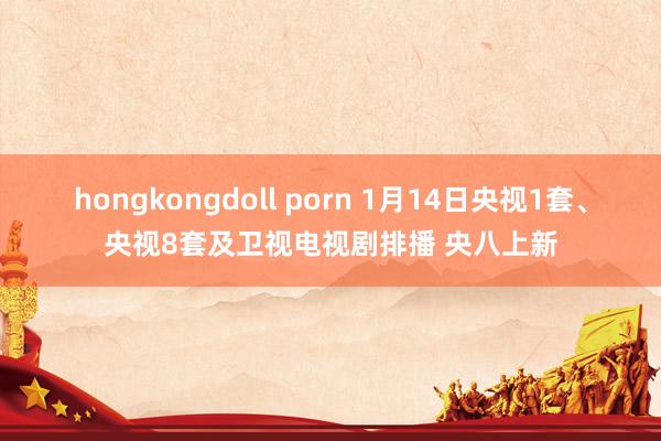 hongkongdoll porn 1月14日央视1套、央视8套及卫视电视剧排播 央八上新