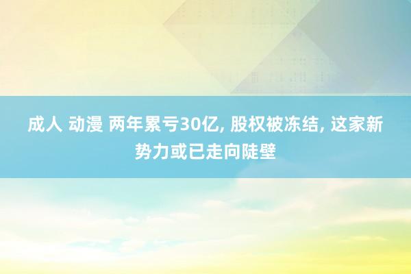 成人 动漫 两年累亏30亿， 股权被冻结， 这家新势力或已走向陡壁