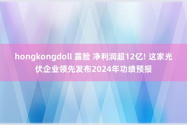 hongkongdoll 露脸 净利润超12亿! 这家光伏企业领先发布2024年功绩预报